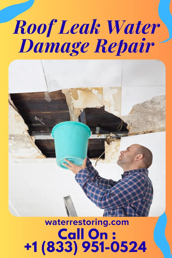 Roof Leak Water Damage Repair in Palestine, OH