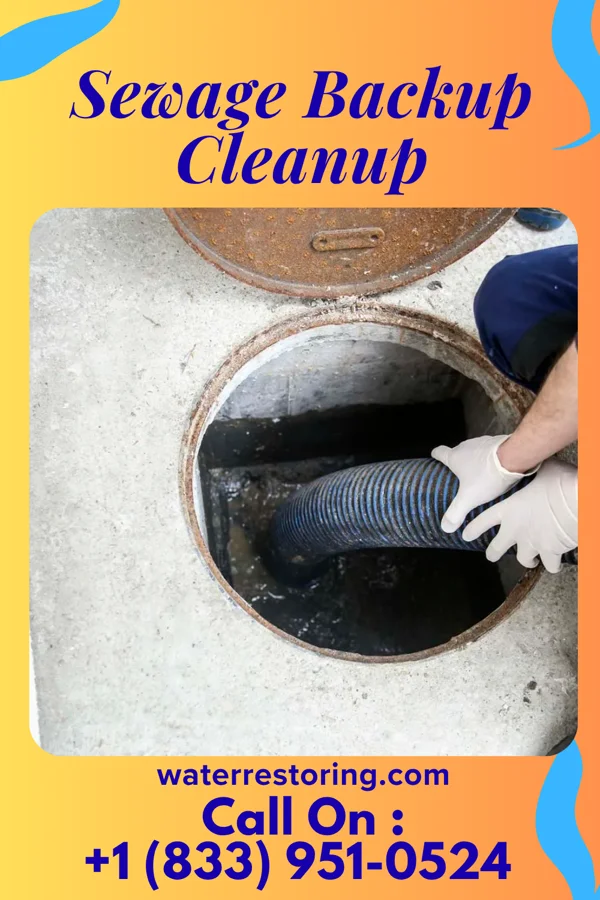 Sewage Backup Cleanup in Palestine, OH