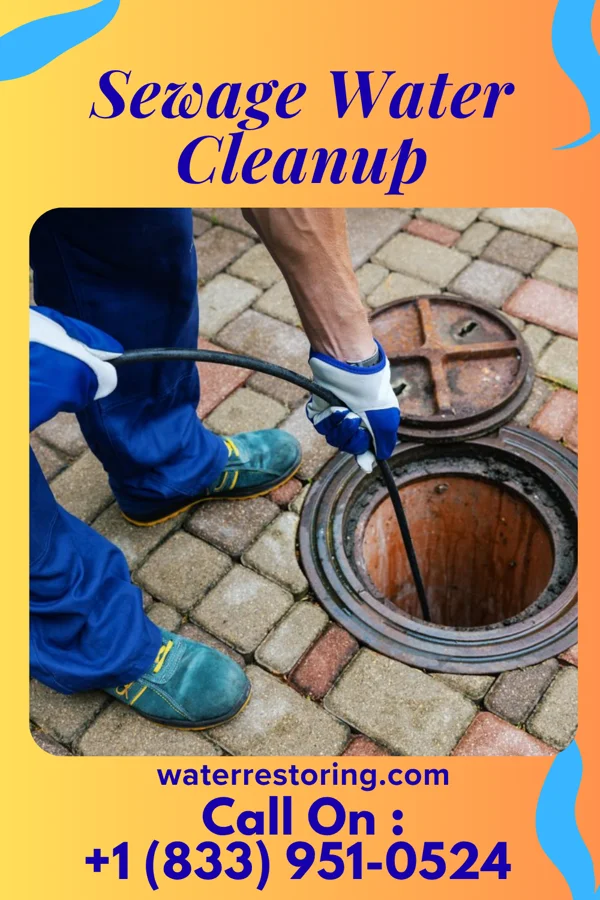 Sewage Water Cleanup in Palestine, OH