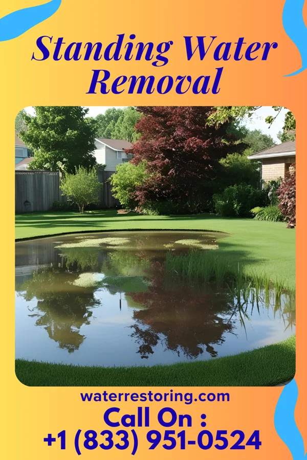 Standing Water Removal in Palestine, OH